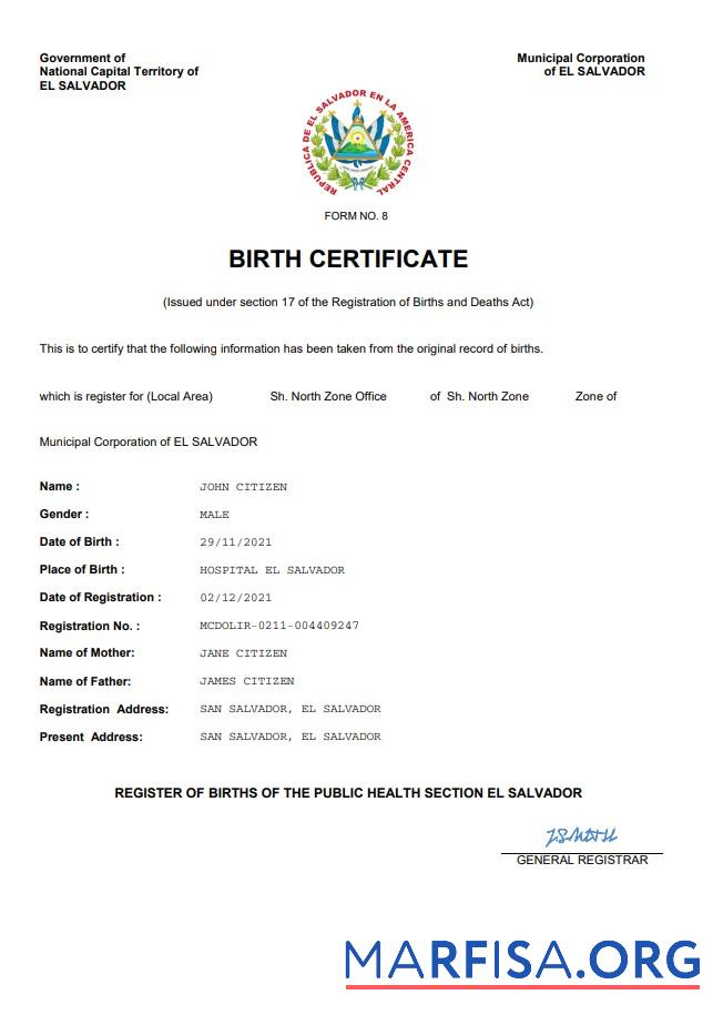 Blank El Salvador vital record birth certificate Word and PDF template